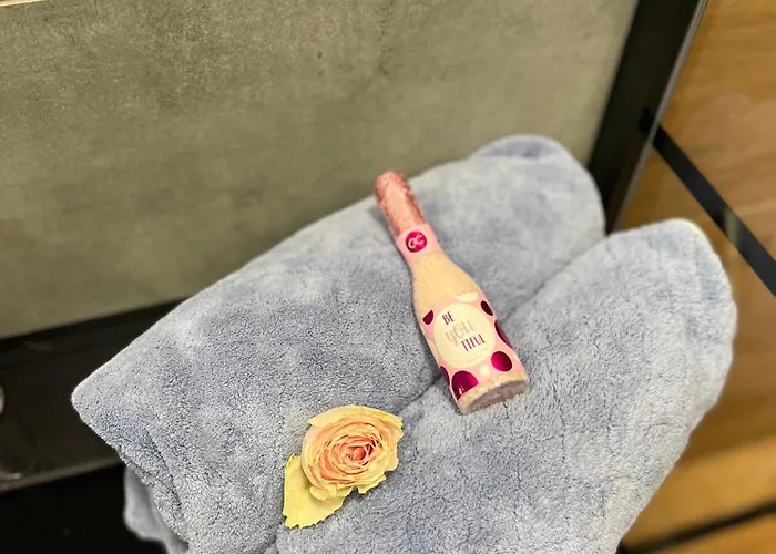 شقة Loft W Centrum Z Jacuzzi